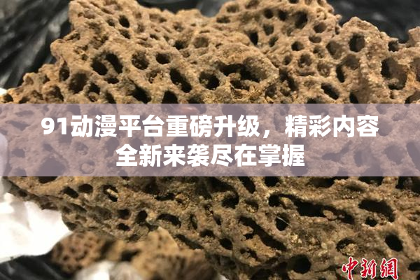 91动漫平台重磅升级，精彩内容全新来袭尽在掌握