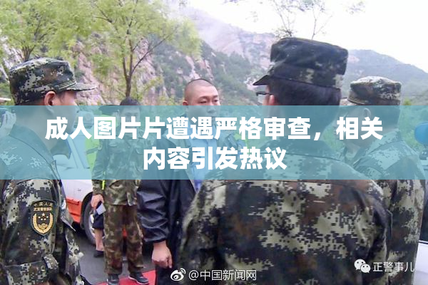 成人图片片遭遇严格审查，相关内容引发热议