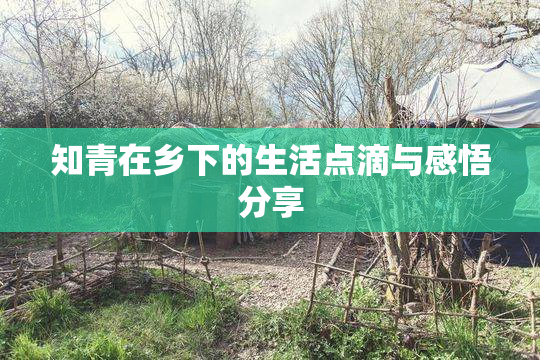 知青在乡下的生活点滴与感悟分享