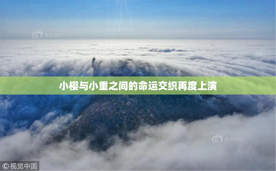 小樱与小重之间的命运交织再度上演