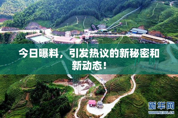 今日曝料，引发热议的新秘密和新动态！