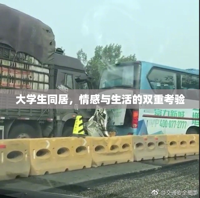大学生同居，情感与生活的双重考验