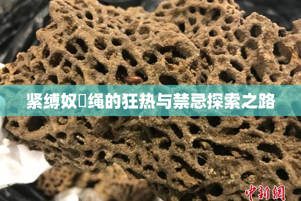 紧缚奴隸绳的狂热与禁忌探索之路