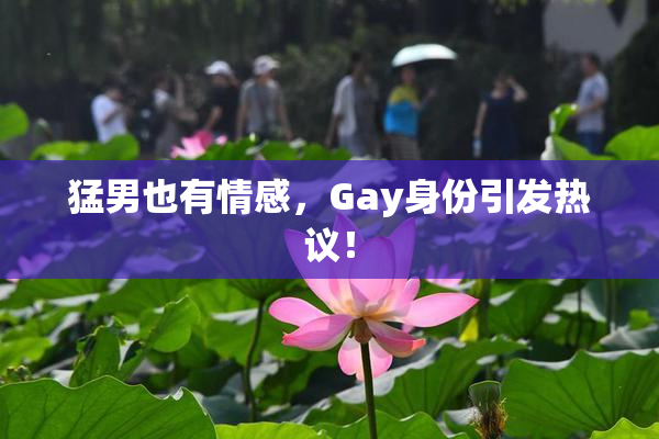 猛男也有情感，Gay身份引发热议！