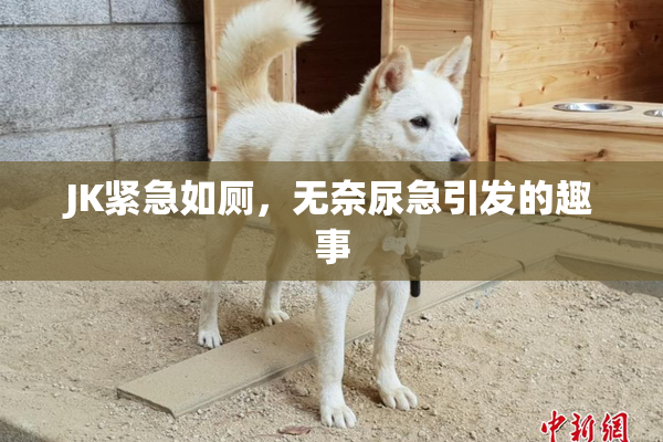 JK紧急如厕，无奈尿急引发的趣事