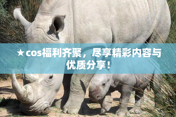 ★cos福利齐聚，尽享精彩内容与优质分享！