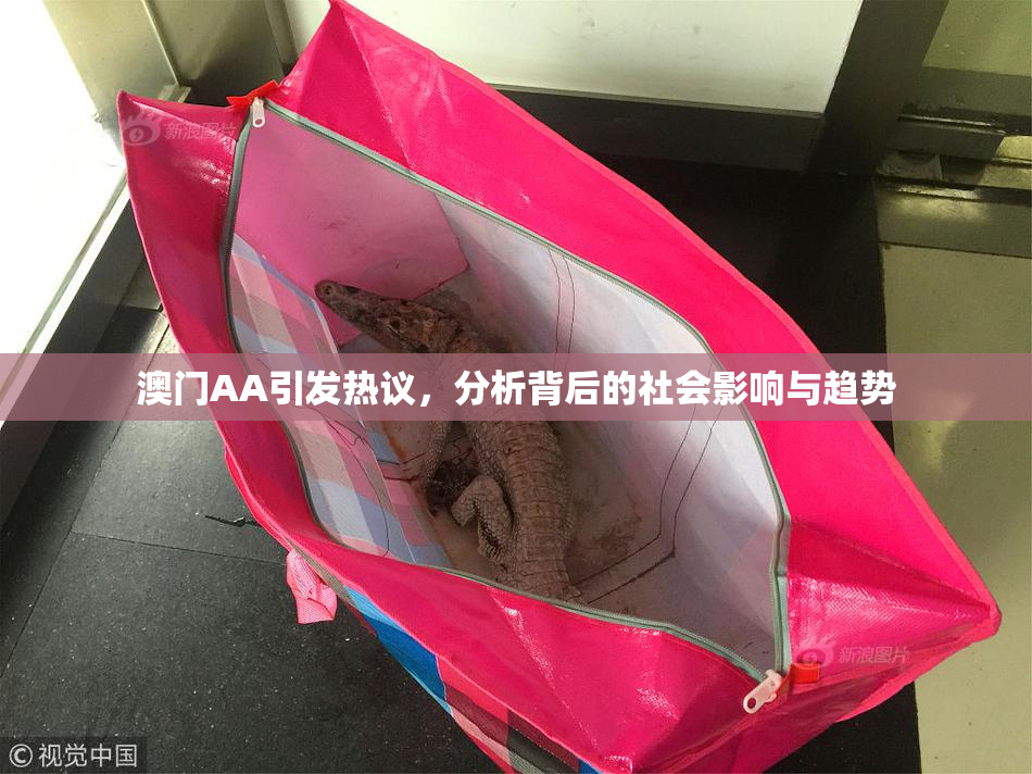 澳门AA引发热议，分析背后的社会影响与趋势