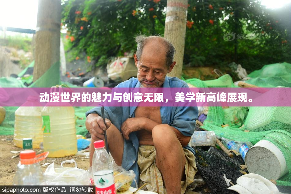 动漫世界的魅力与创意无限，美学新高峰展现。
