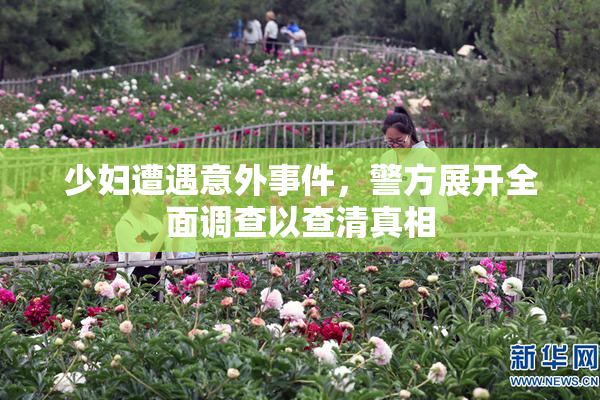 少妇遭遇意外事件，警方展开全面调查以查清真相