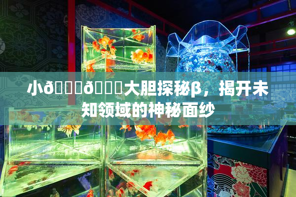 小🐔🐔大胆探秘β，揭开未知领域的神秘面纱