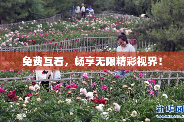 免费互看，畅享无限精彩视界！