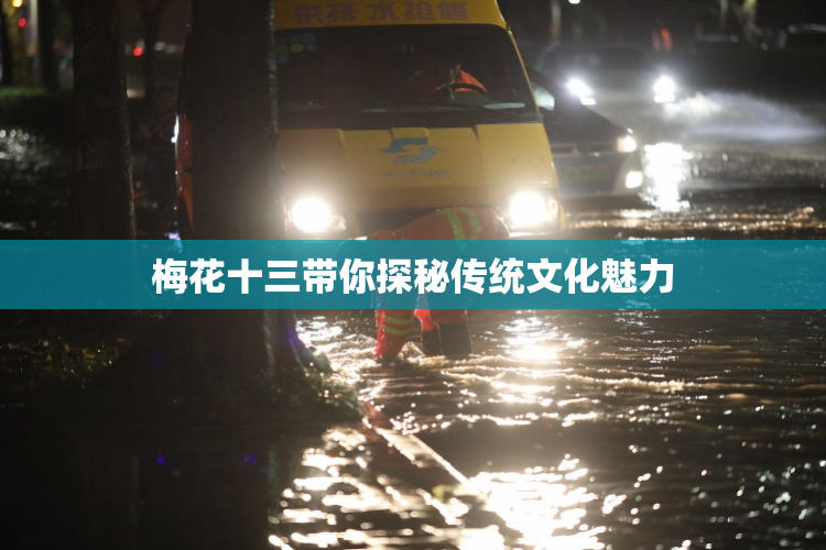 梅花十三带你探秘传统文化魅力