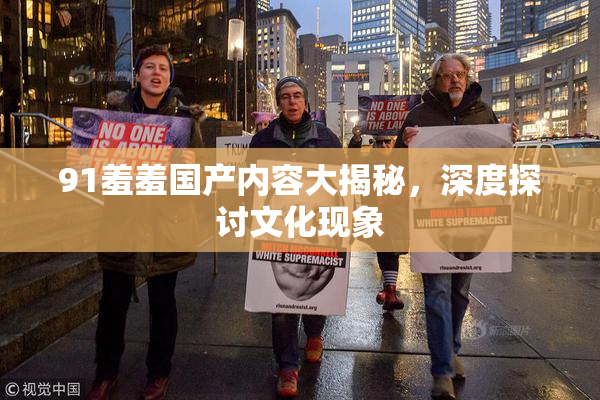 91羞羞国产内容大揭秘，深度探讨文化现象