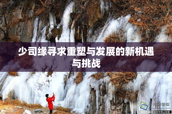 少司缘寻求重塑与发展的新机遇与挑战