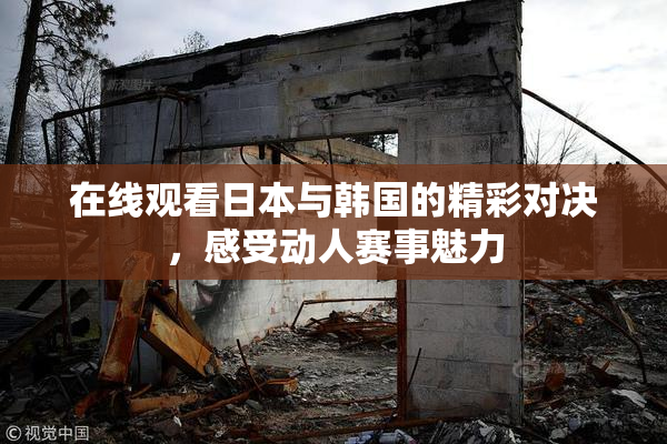 在线观看日本与韩国的精彩对决，感受动人赛事魅力