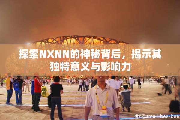 探索NXNN的神秘背后，揭示其独特意义与影响力