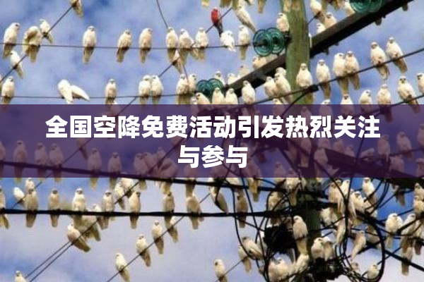 全国空降免费活动引发热烈关注与参与