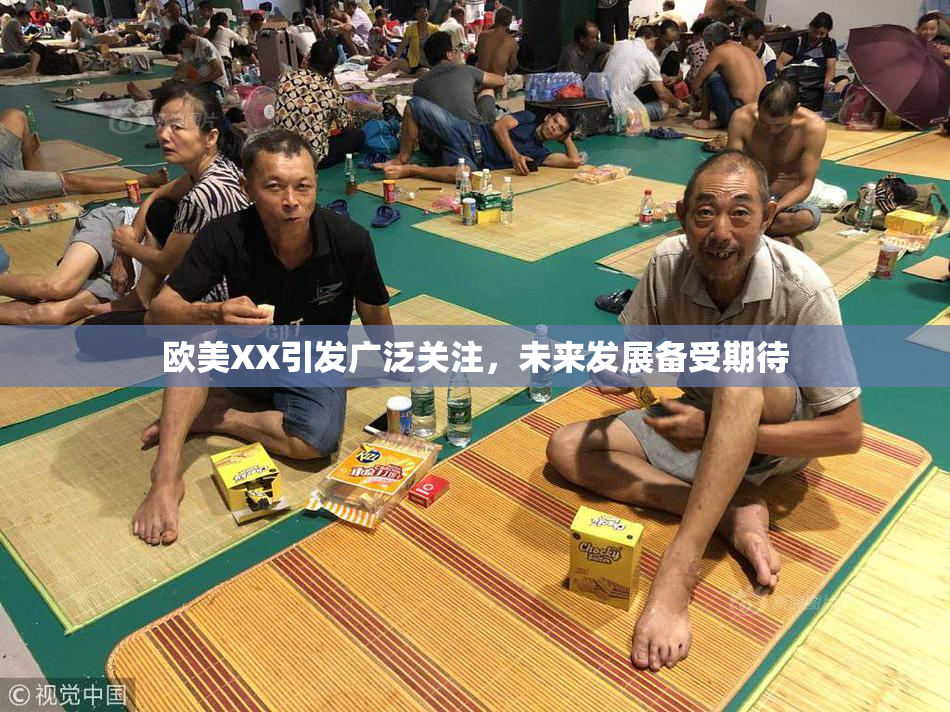 欧美XX引发广泛关注，未来发展备受期待