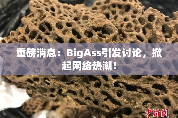 重磅消息：BigAss引发讨论，掀起网络热潮！