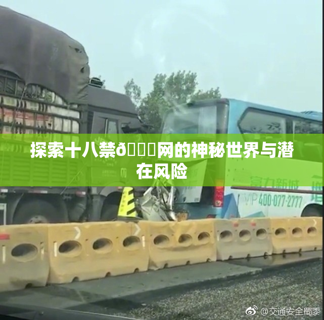 探索十八禁🔞网的神秘世界与潜在风险