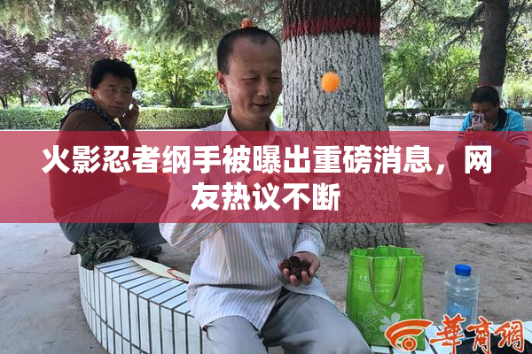 火影忍者纲手被曝出重磅消息，网友热议不断