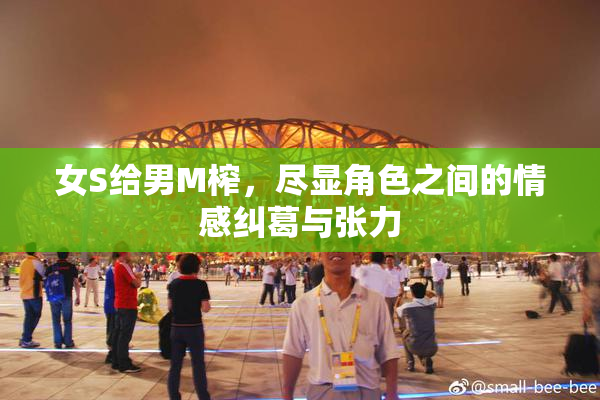 女S给男M榨，尽显角色之间的情感纠葛与张力