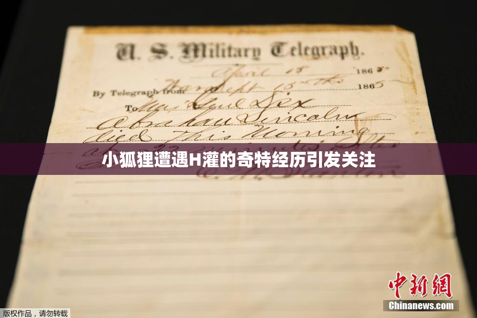 小狐狸遭遇H灌的奇特经历引发关注
