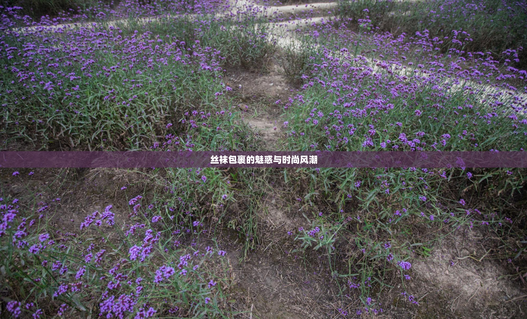 丝袜包裹的魅惑与时尚风潮