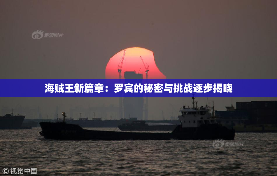 海贼王新篇章：罗宾的秘密与挑战逐步揭晓
