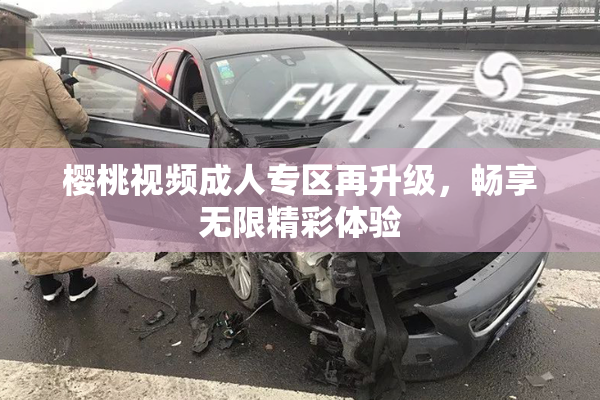 樱桃视频成人专区再升级，畅享无限精彩体验