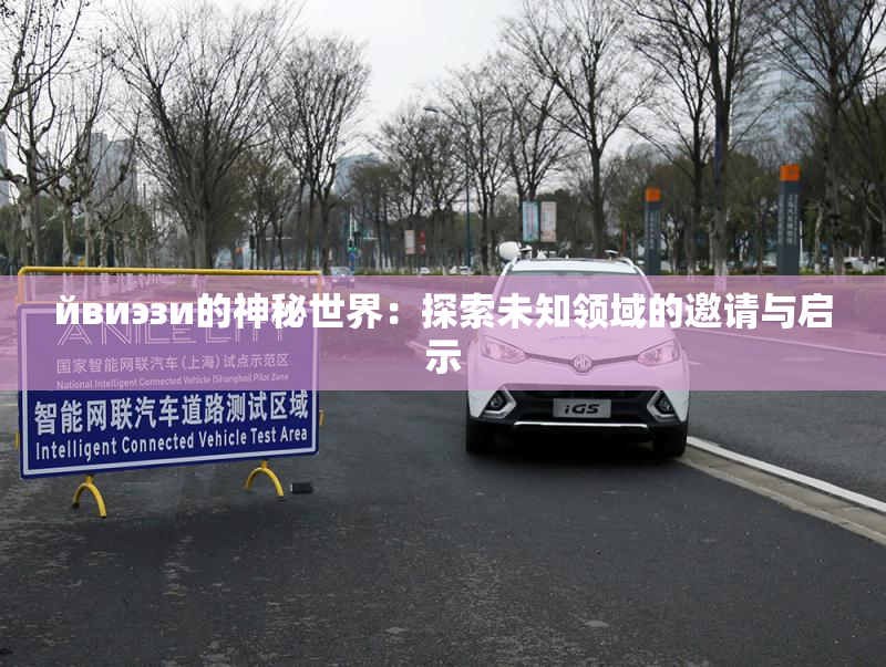 йвиэзи的神秘世界：探索未知领域的邀请与启示