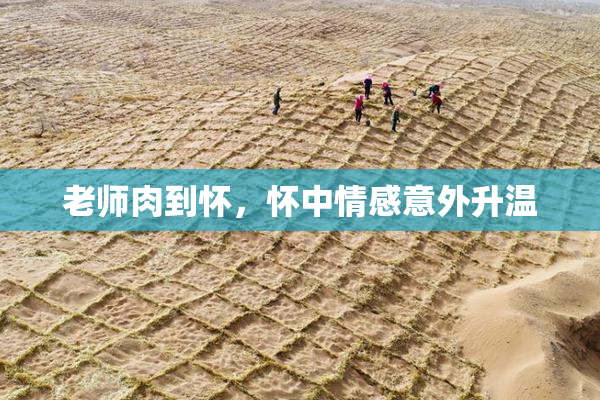 老师肉到怀，怀中情感意外升温