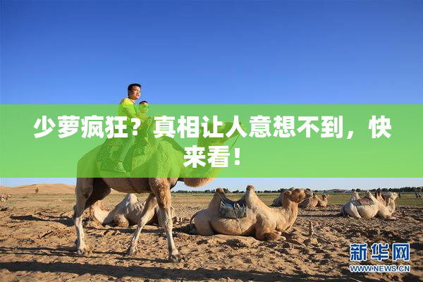 少萝疯狂？真相让人意想不到，快来看！
