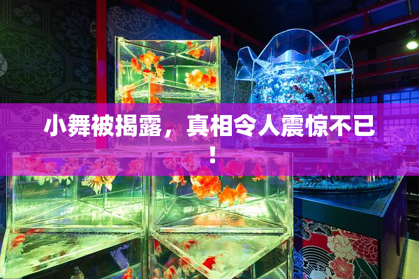 小舞被揭露，真相令人震惊不已！