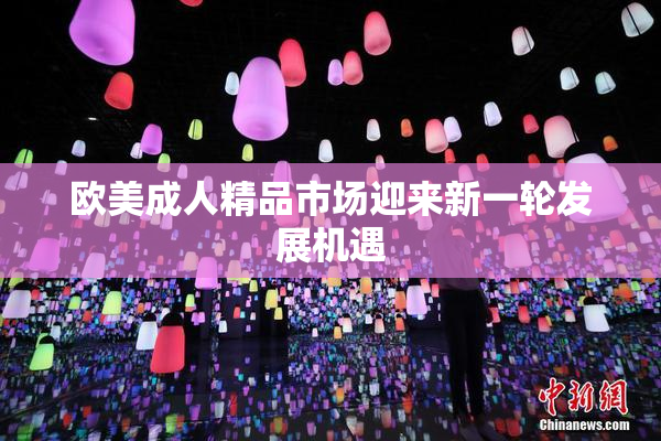 欧美成人精品市场迎来新一轮发展机遇
