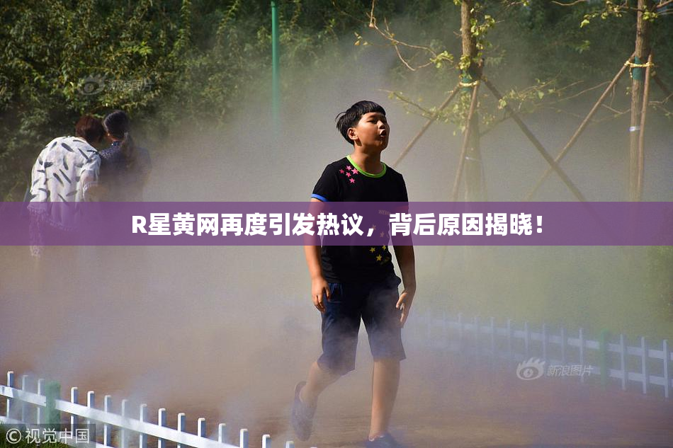 R星黄网再度引发热议，背后原因揭晓！