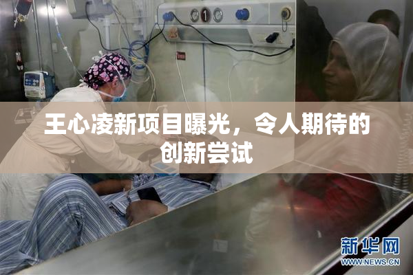 王心凌新项目曝光，令人期待的创新尝试