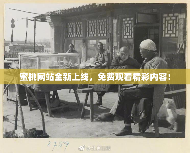 蜜桃网站全新上线，免费观看精彩内容！