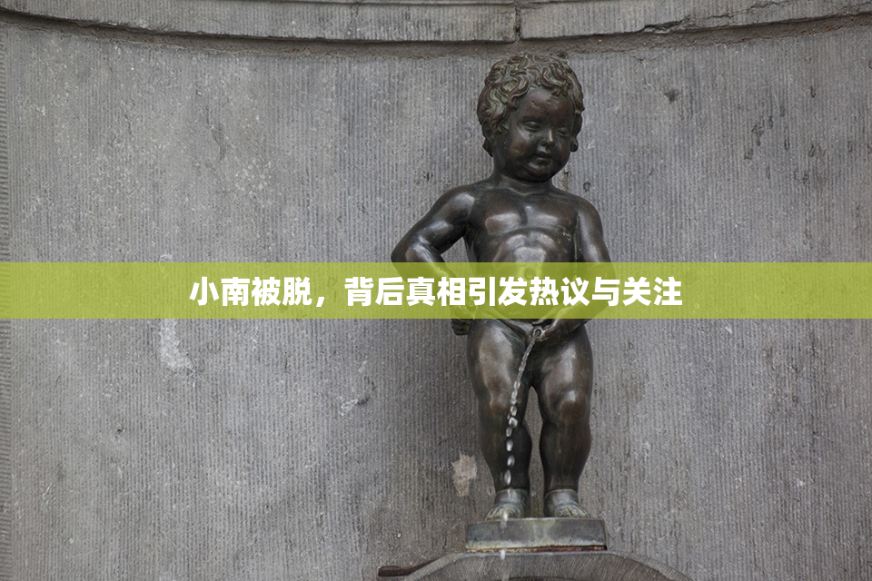 小南被脱，背后真相引发热议与关注