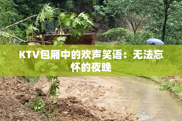 KTV包厢中的欢声笑语：无法忘怀的夜晚