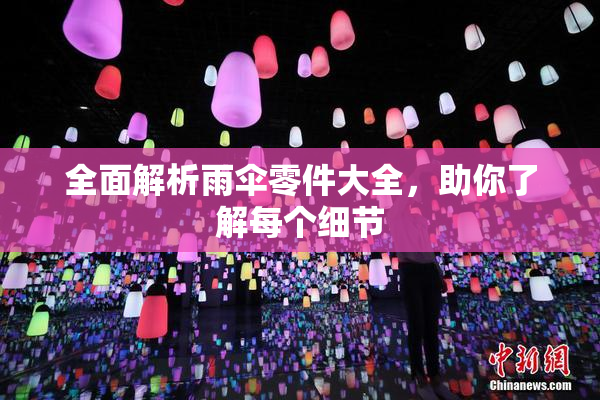 全面解析雨伞零件大全，助你了解每个细节
