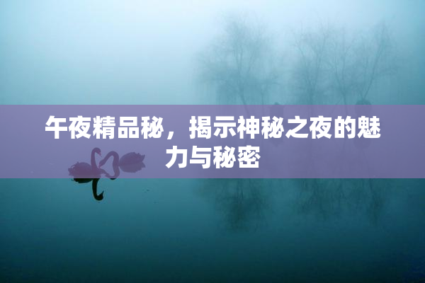 午夜精品秘，揭示神秘之夜的魅力与秘密