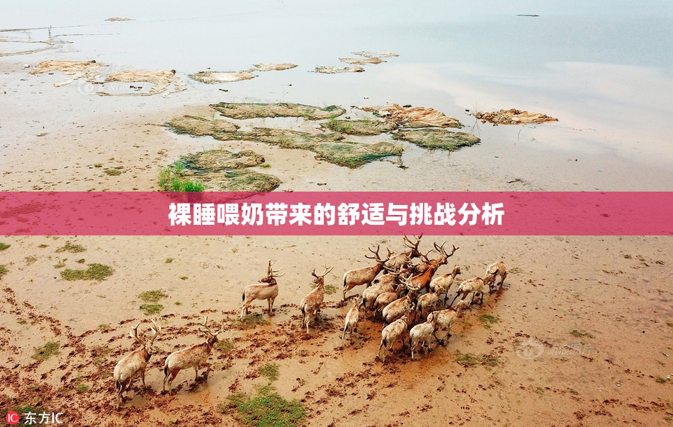 裸睡喂奶带来的舒适与挑战分析