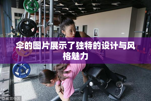伞的图片展示了独特的设计与风格魅力
