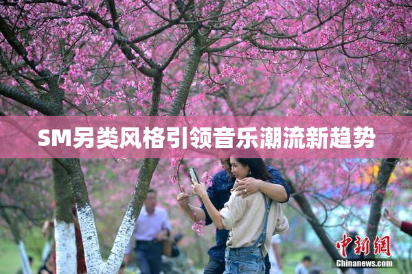 SM另类风格引领音乐潮流新趋势