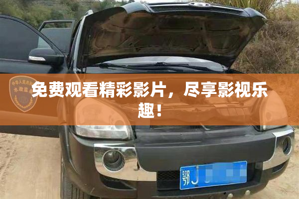 免费观看精彩影片，尽享影视乐趣！