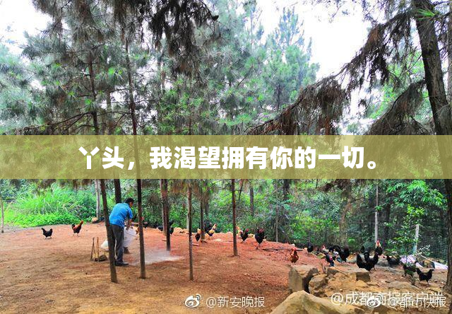 丫头，我渴望拥有你的一切。