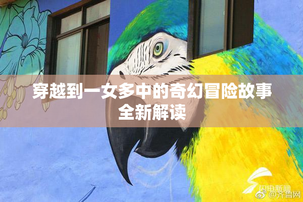 穿越到一女多中的奇幻冒险故事全新解读
