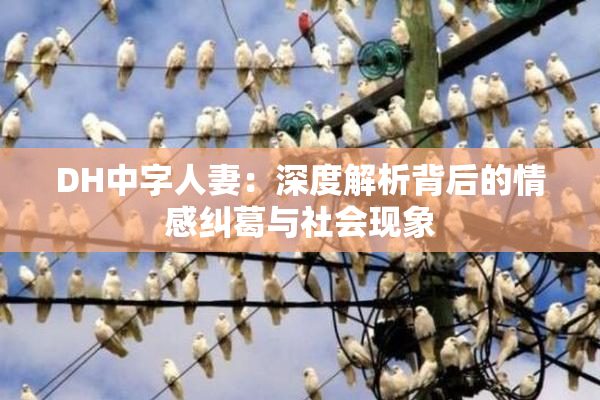 DH中字人妻：深度解析背后的情感纠葛与社会现象