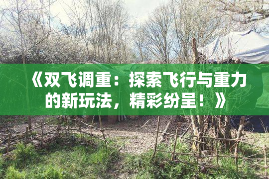 《双飞调重：探索飞行与重力的新玩法，精彩纷呈！》